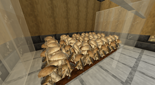 shroom farm