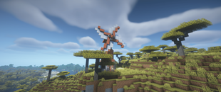 Acacia windmill