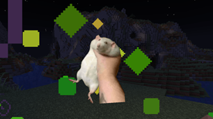 Used
