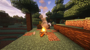 Toasty Campfire