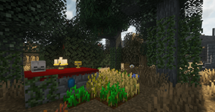 Enchanted: Witchcraft