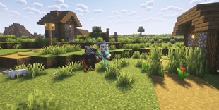 Villager Scout Captain 2.png