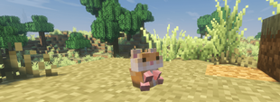 Another trustworthy companion