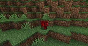 red_wolf