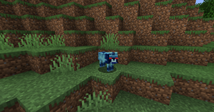 blue_wolf