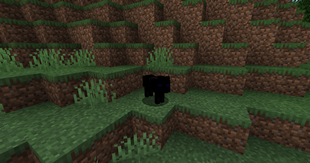 black_wolf