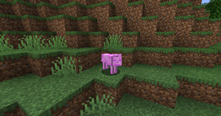 pink_wolf