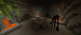 Endersent Arena