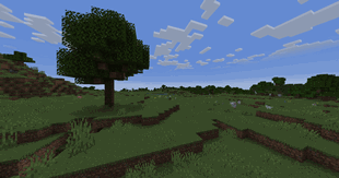 Early Morning Preview - v1.8