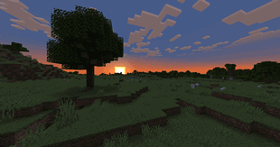 Sunset Preview - v1.8