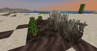 Wasteland plants