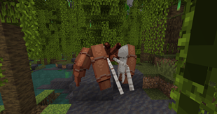 Hermit Crab