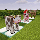White milk cow & Strawberry milk cow, Chocolate milk cow (with a mushroom flavor)