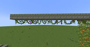 2025-07-13_22.24.05.png