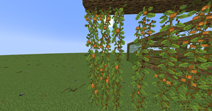 2025-07-13_22.24.11.png