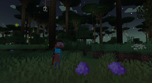 The Twilight Forest!