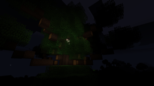 Big Tree