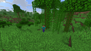 Near Herobrine