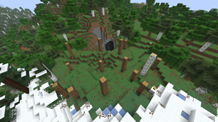 Forest without leaves