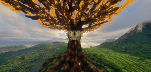 Gate inside the Tree