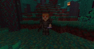 Nethiacer.png
