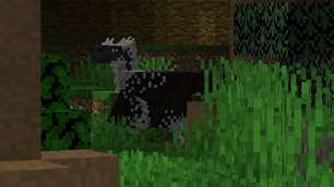 Dakotaraptor