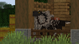 Dakotaraptor