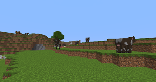2025-07-23_09.32.34.png