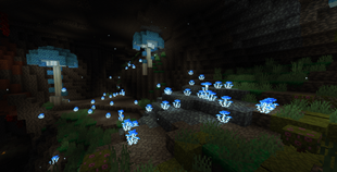 Asurine Caves