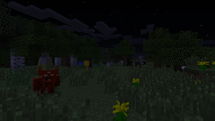Full Moon Event