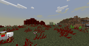 mild wasteland scenery1