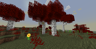 mild wasteland scenery2