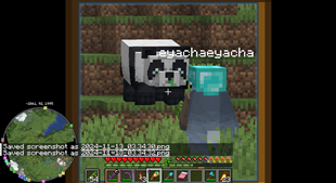 Sneezy Panda