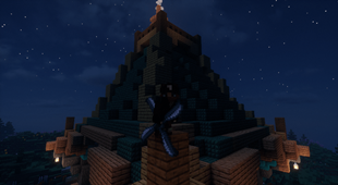 Be the night, be a ninja