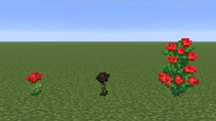 All the flowers in the pack