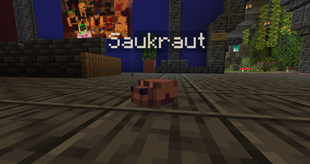 Sauerkraut 1