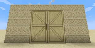 2X4_door-resize.jpg