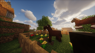Horse