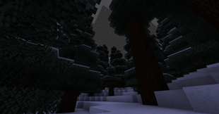 Snowy Forest