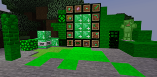 Showcase 1
