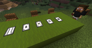 TemporaryPreview.png