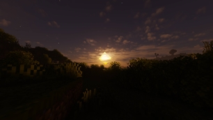 The Sunset