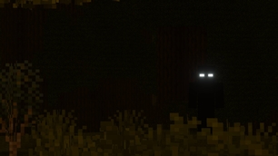 Unknown Entity