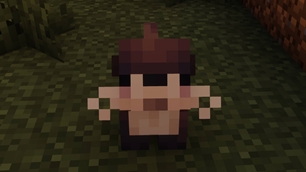 Otter