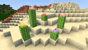 cactus_flowers.png