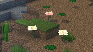 water_lilies.png