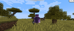 Screenshot 2025-07-26 081824.png
