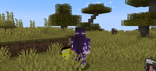 Screenshot 2025-07-26 081839.png