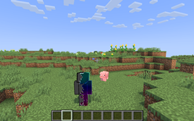 New animations