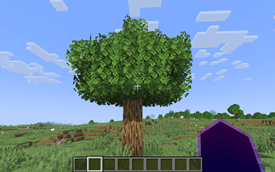 New trees